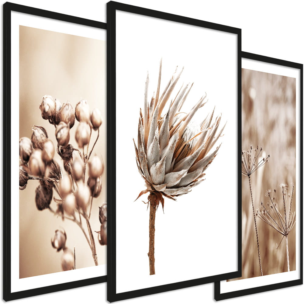 Zestaw obrazów - Suszone trawy w beżach styl boho - wymiary 45x65 cm